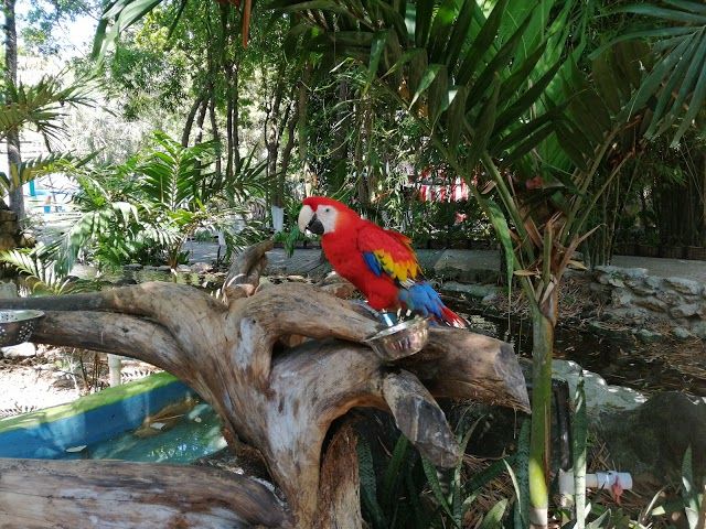 Zoológico Payo Obispo